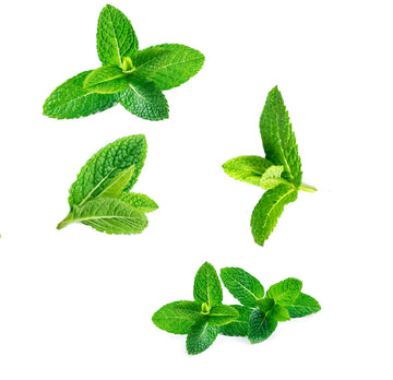 supermint 10 ml whats inside 1085x1050 eu