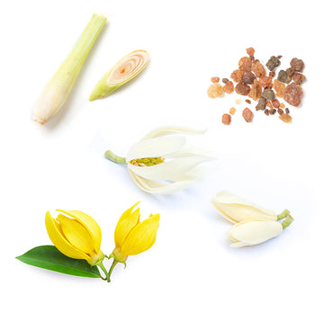 doTERRA sun mineralische Sonnenschutz stift arcra und testre Inhaltsstoffe