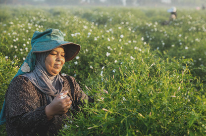 jasmine sourcing 1050x693 eu