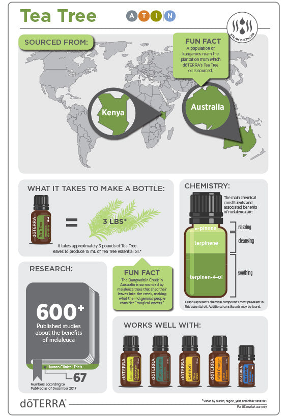 doTERRA Teebaum (Tee tree) ätherisches Öl 15 ml