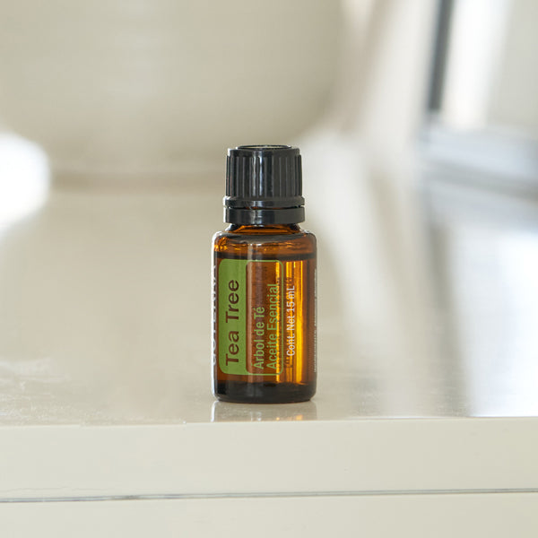 doTERRA Teebaum (Tee tree) ätherisches Öl 15 ml