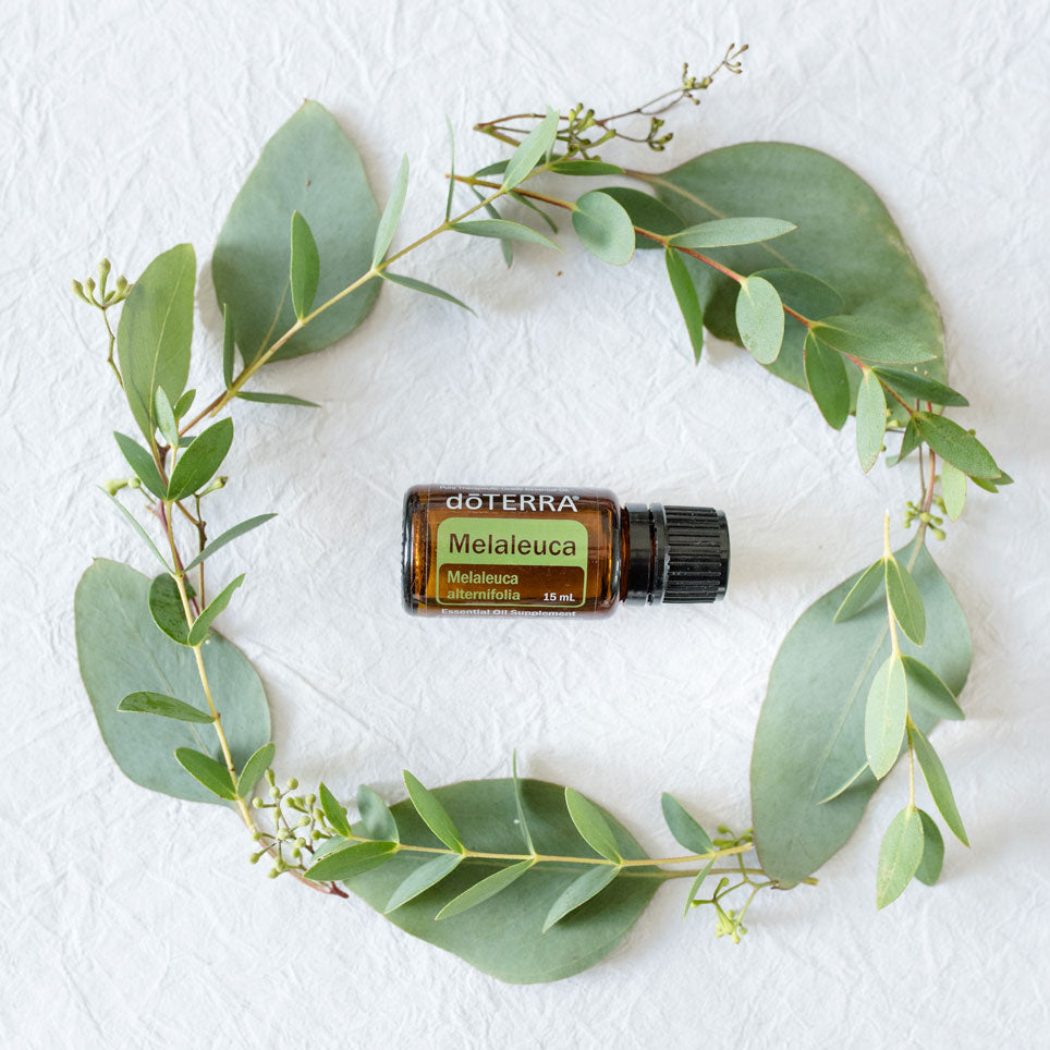 doTERRA Teebaum (Tee tree) ätherisches Öl 15 ml