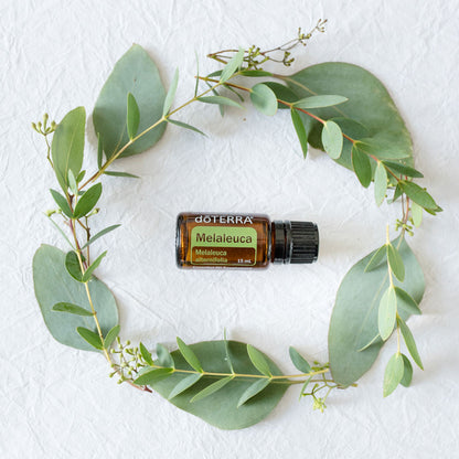 doTERRA Teebaum (Tee tree) ätherisches Öl 15 ml