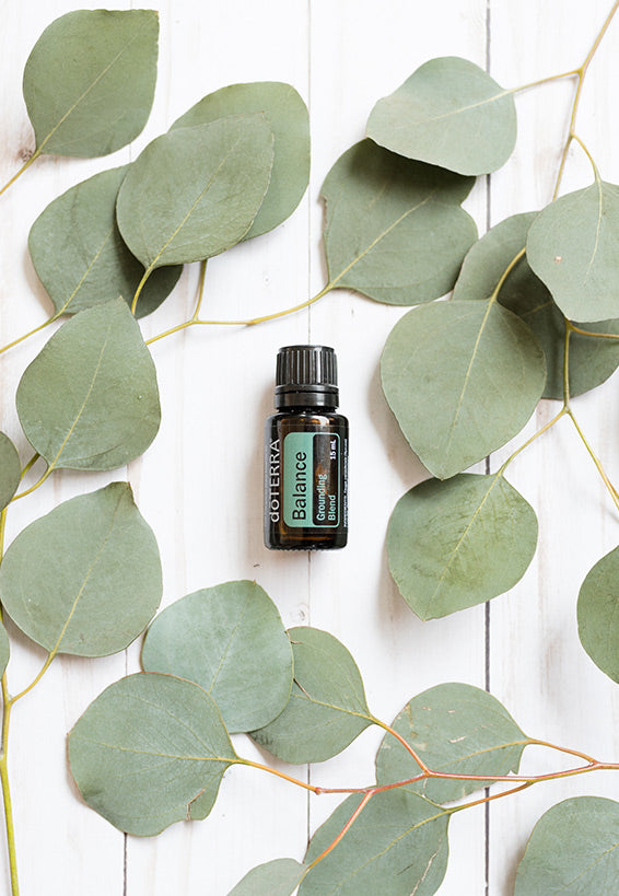 Balance Ölmischung 15 ml - doTERRA