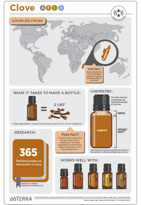 doTERRA Gewürznelke ätherisches Öl - clove 15 ml