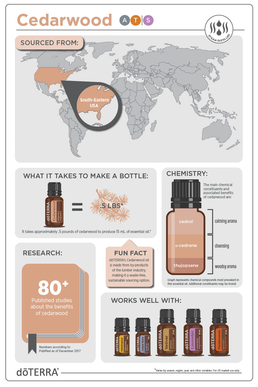 doTERRA Rotzeder (Cedarwood) ätherisches Öl 15 ml