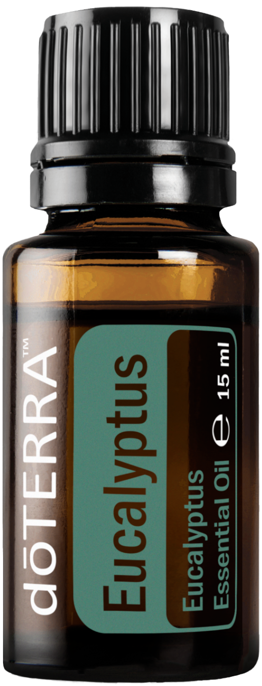 doTERRA Eukalyptus - Eucalyptus 15 ml