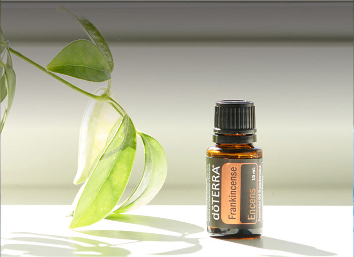 doTERRA Weihrauch ätherisches Öl frankincense 15 ml