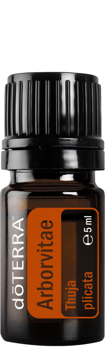 doTERRA Riesen-Lebensbaum arborvitae 5 ml ätherische Ölmischung