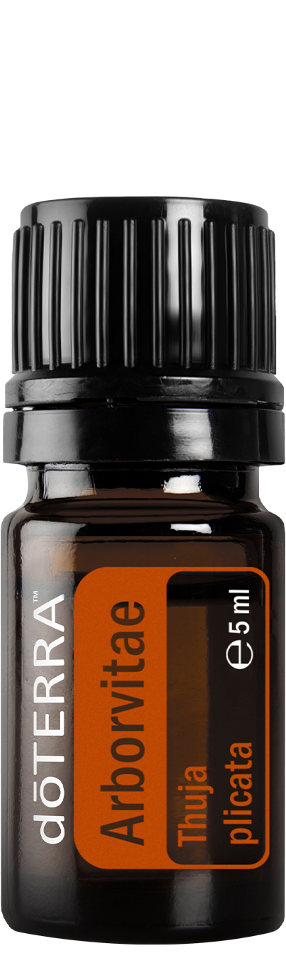 doTERRA Riesen-Lebensbaum arborvitae 5 ml ätherische Ölmischung