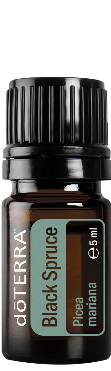 doTERRA kanadai schwarz luc - black spruce ätherisches Öl 5 ml