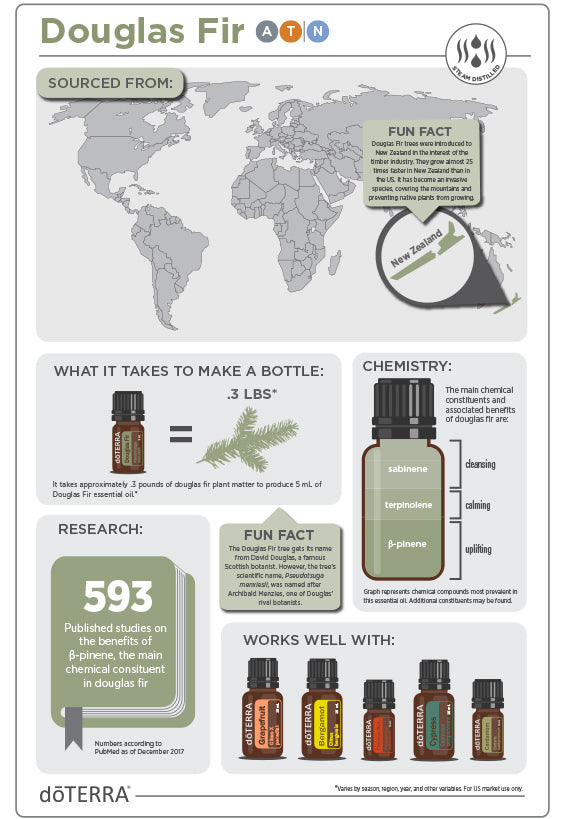 doTERRA Douglasie douglas fir